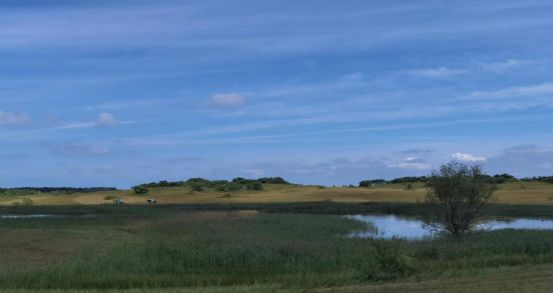 中国ZLJZLJZLJZLJ免费观看