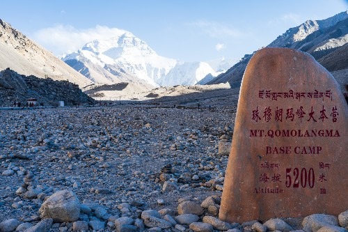 小马拉大车英语啥意思 