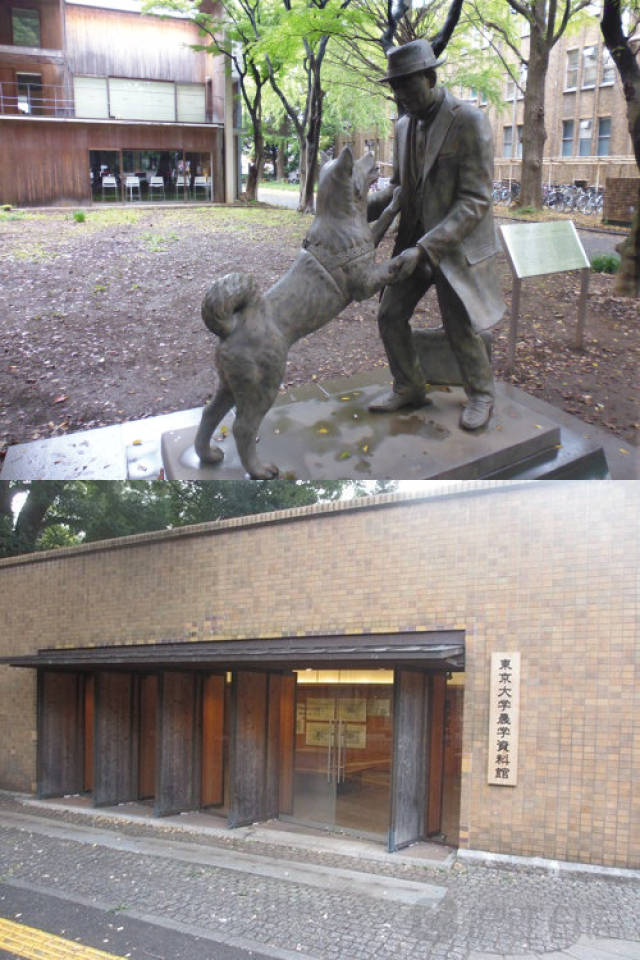 未成年网站 教育他们识别网络风险