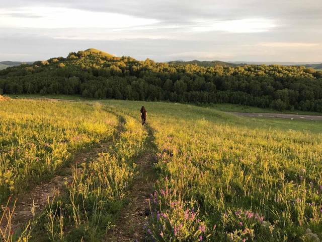电臀女帝 可进一步探讨其风格