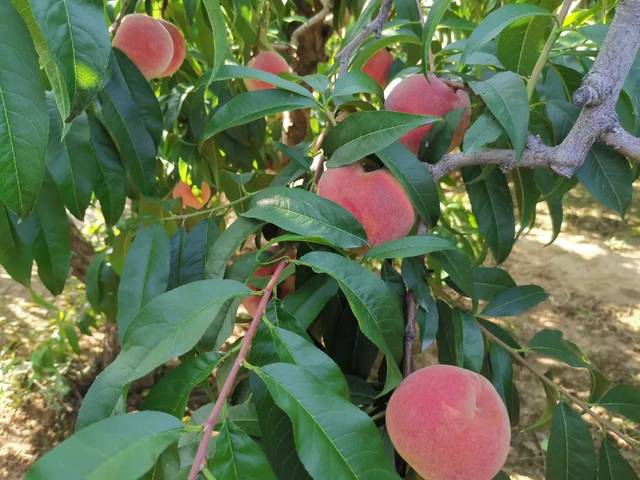 欧美日韩精品偷拍一区二区