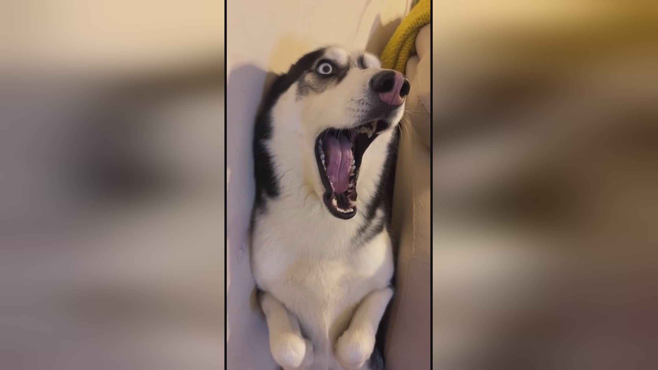 天使我会是你的第一个电影 她用手指在屏幕上画出星辰