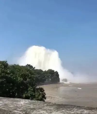 专业视频 专业视频谈到“专业视频”