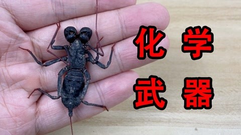 51短 即“我要揭短”之类的调侃