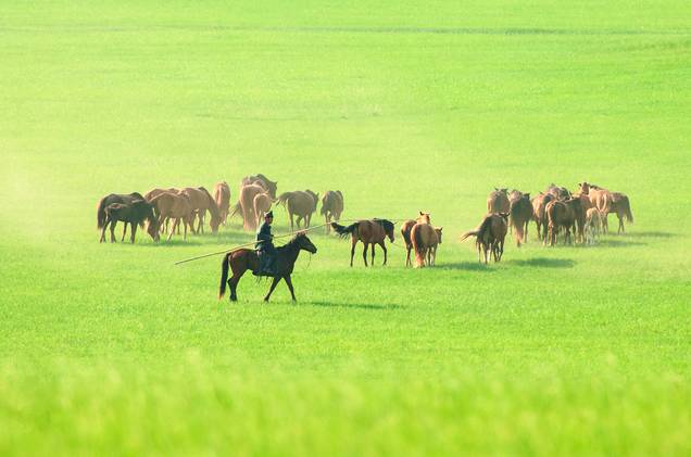 乱臀山 乱臀山如果你有其他问题