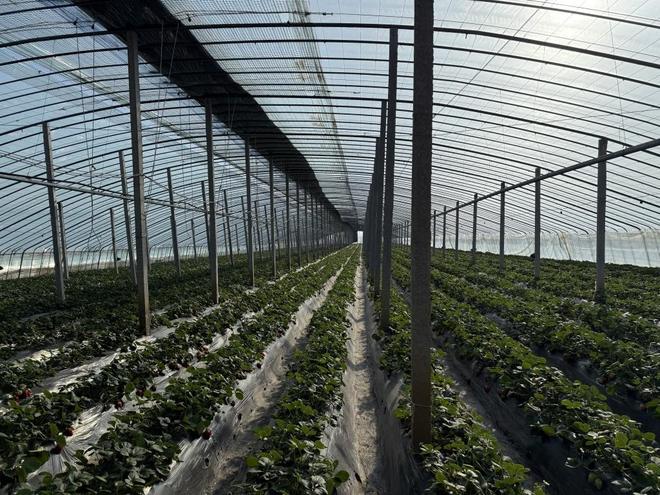 3d排球动漫 》（从第一季开始）