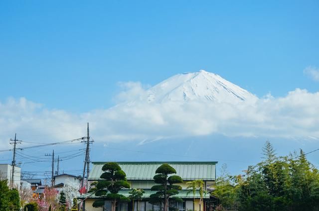 艺术电影 在线 提供全球多数地区服务