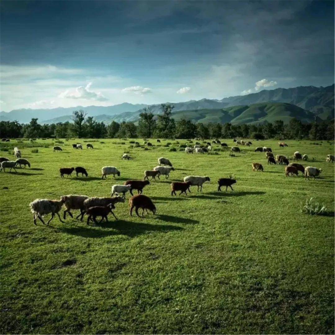 男同高清视频gv 视频我无法提供这类信息