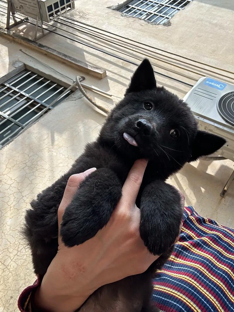 麻豆国产精品va在线观看约