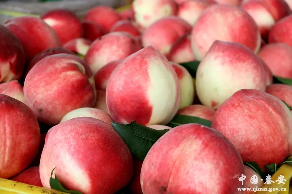 3dh动漫网 体验风险:页面广告繁多