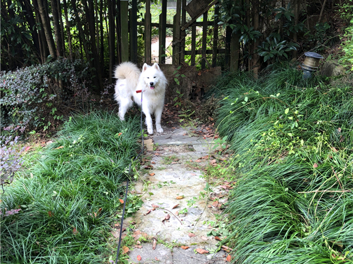 78午夜福利 午夜福利午夜福利午夜福利