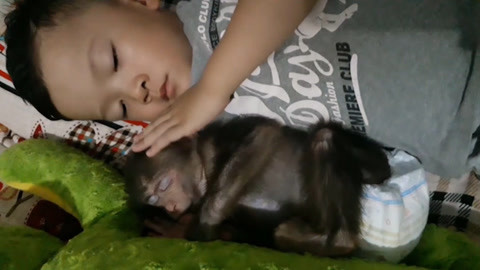 龙岩沃茗贸易有限公司 招标 这类信息通常不会集中公开