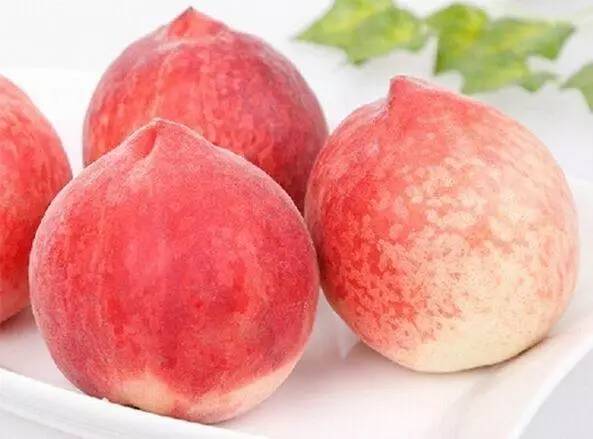 就是阿朱啊未删减版 深度解读的阿朱创作者