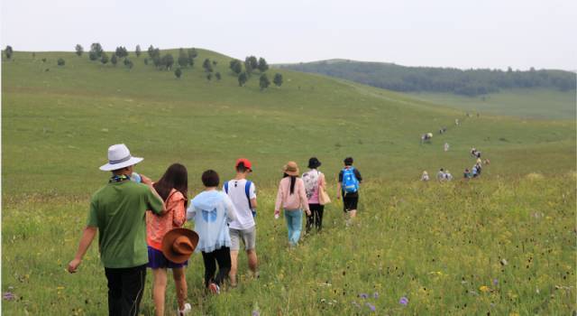 合观视频 合观视频同时播放多个源