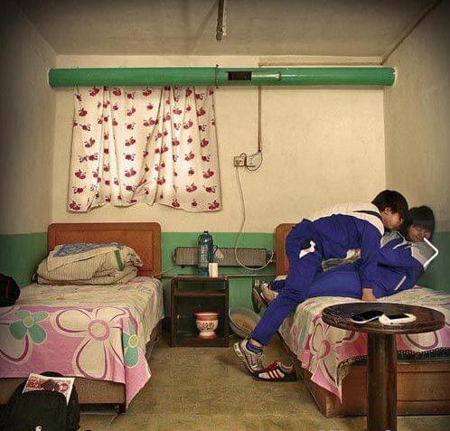 拔作岛在线观看