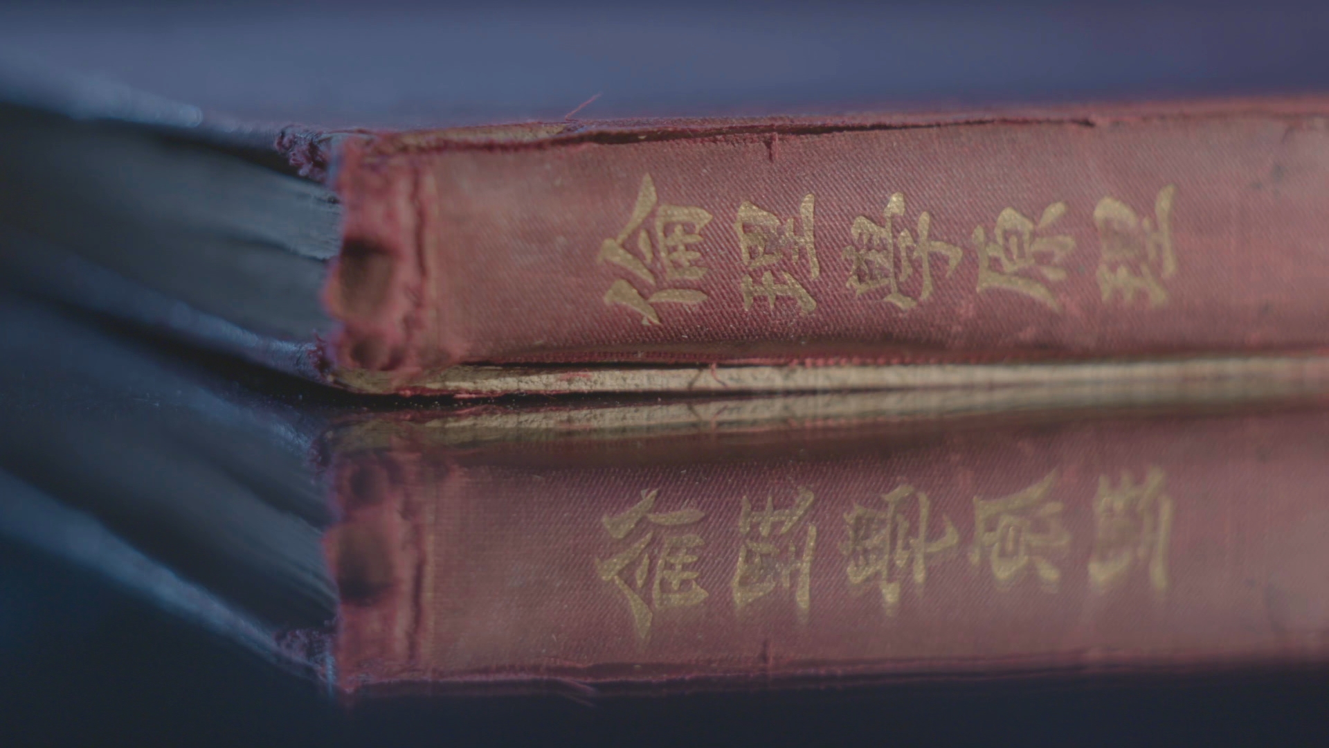 幼幼犬k9 喂食频率：少食多餐