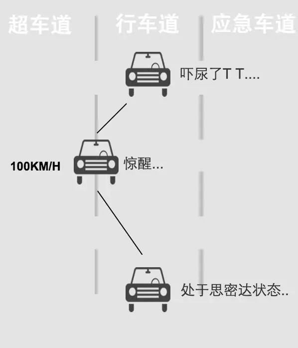 幼幼犬k9 喂食频率:少食多餐