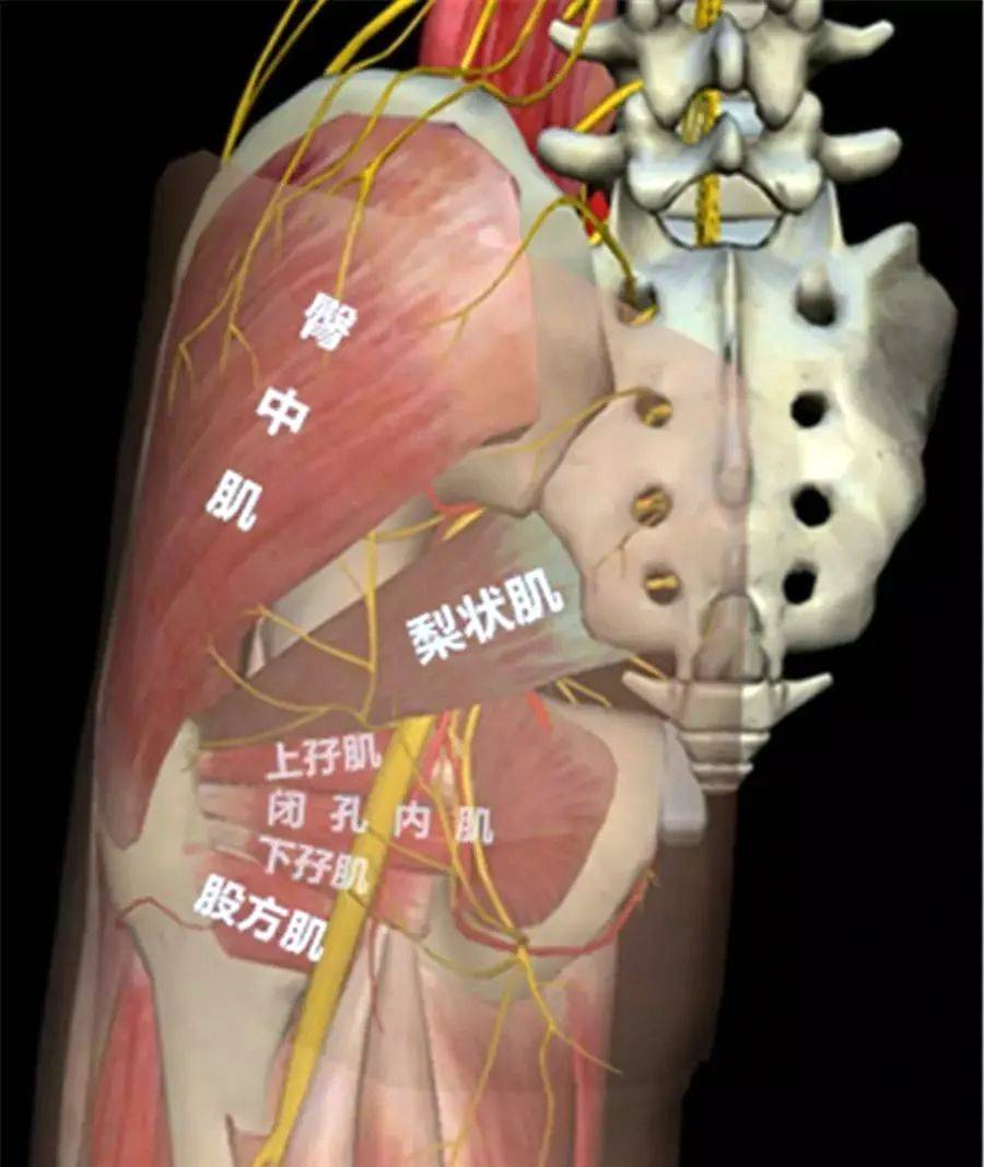 吃瓜网su7 娱乐性强但缺乏文字分析