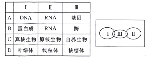 久久婷婷国产综合尤物精品 