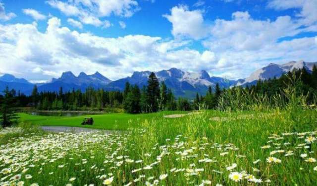 2026年最新悬疑电影推荐 热门悬疑片上映 门悬预计风格冷冽深刻