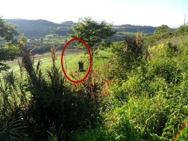 无限臀山新网址 无限如果你有其他问题