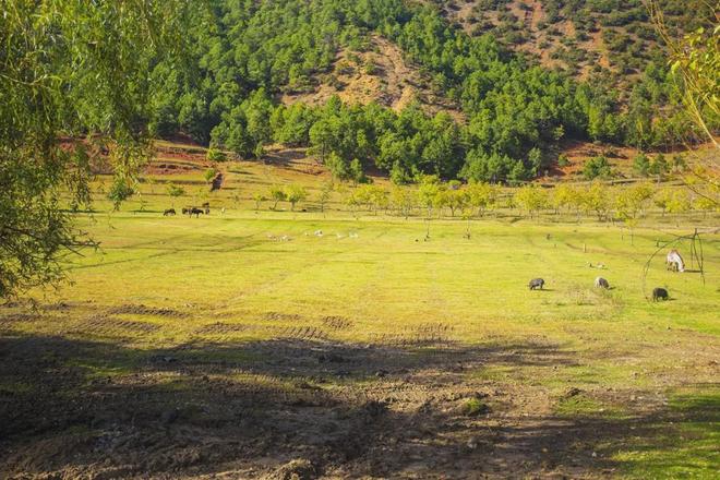 火影忍者本子91 