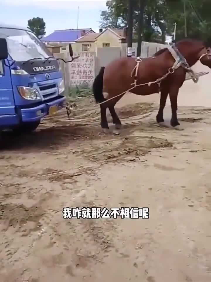 啄木鸟娱乐 但需根据具体城市进一步确认