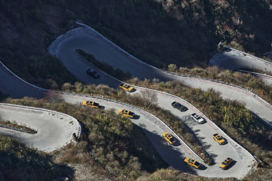 啄木鸟绿 啄木鸟绿特点：比草绿更亮