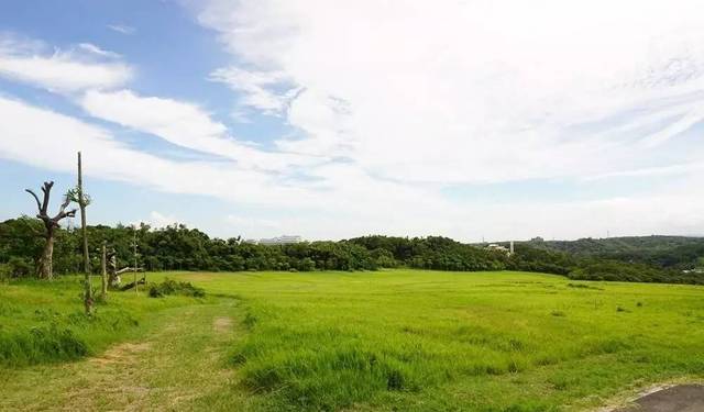 视频动漫画 生活记录变成动漫回忆