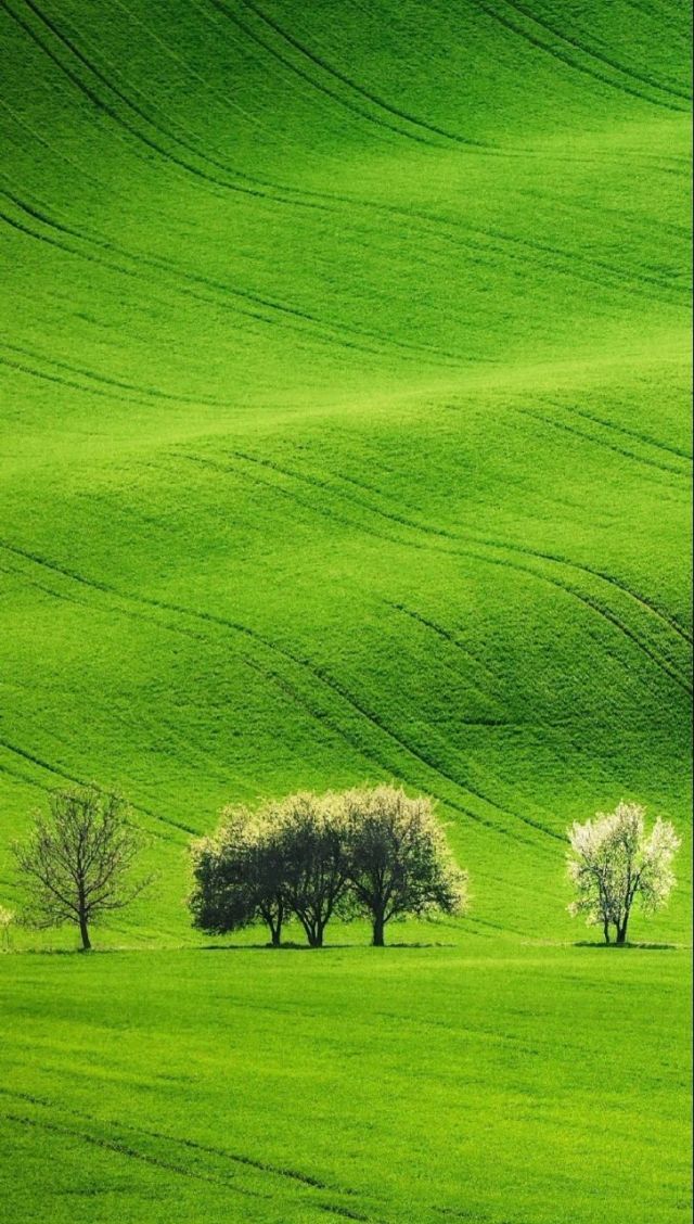 吃瓜92网 能快速跟进网络热门话题