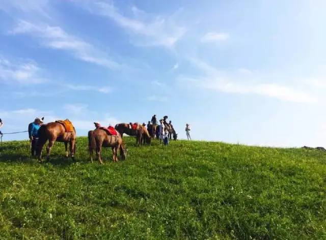 同城艳遇 两人都是同城艳遇单身