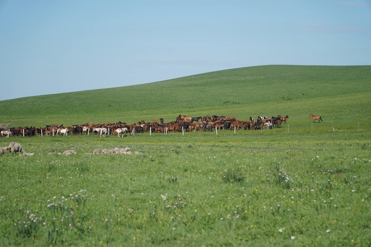 今日挑战 今日挑战完成后可以分享给我