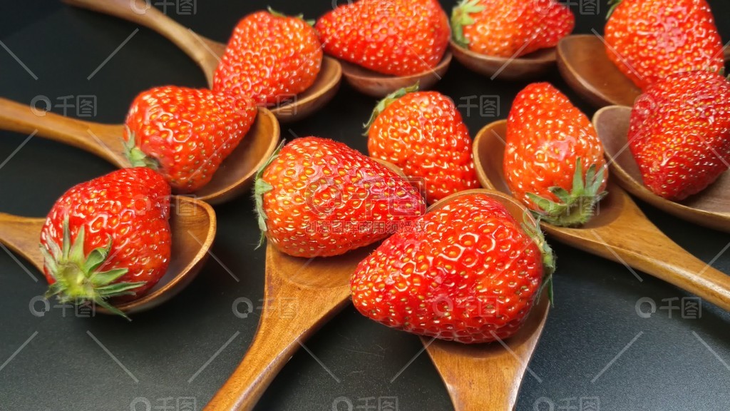 小马大车拉丁裔