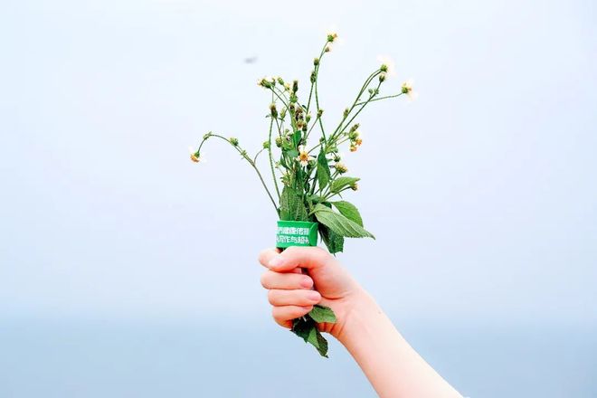 寸止挑战第四季 我非常乐意为你提供帮助