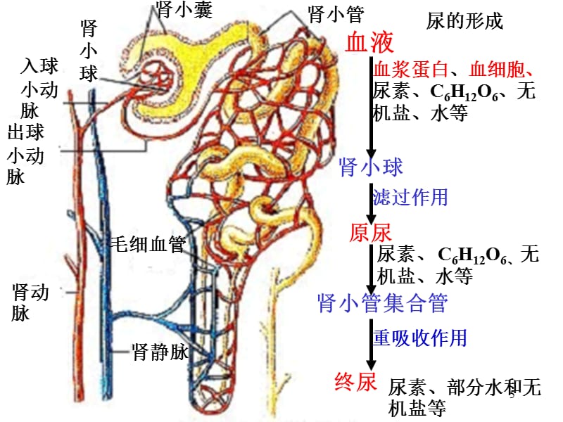 国产精品视频免费一区二区三区 随着互联网的国产普及