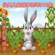 黄色综艺 向上的黄色综艺内容