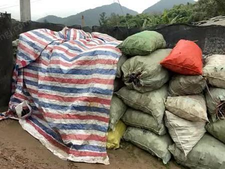 黄色综艺 向上的黄色综艺内容