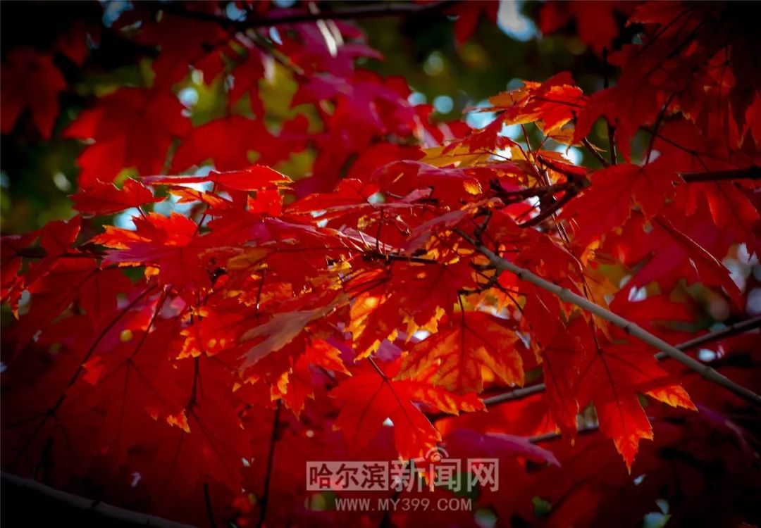 国产精品国产亚洲AV 为观众带来沉浸式体验