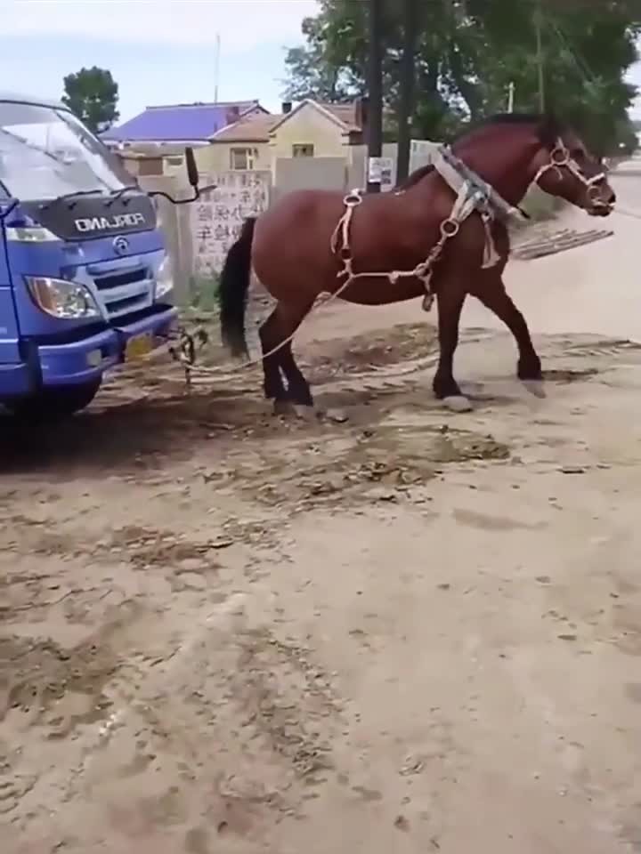 小包子合集 小包合集一盒尽享”