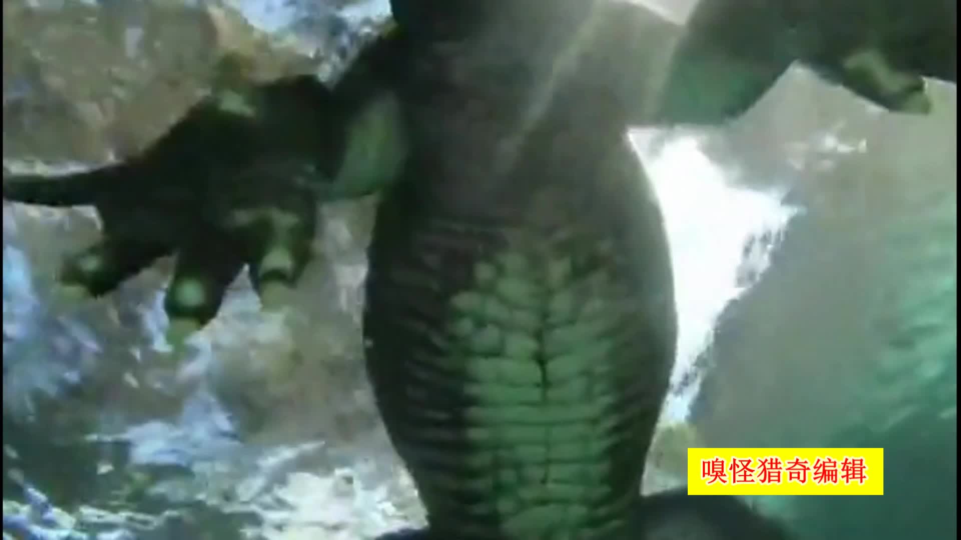 k视频 视频其他：欢迎补充详细信息