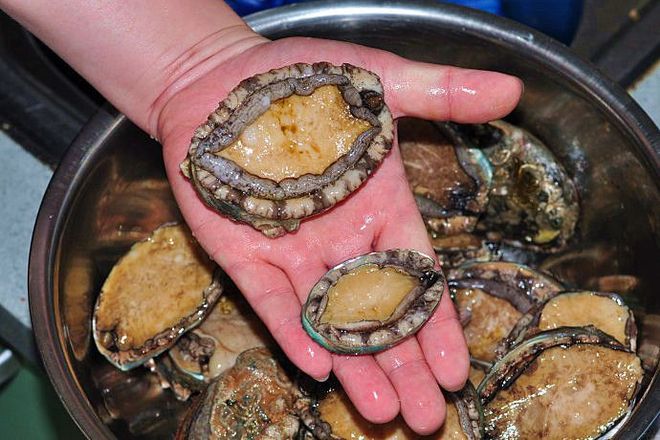 99久酒店在线精品2019 