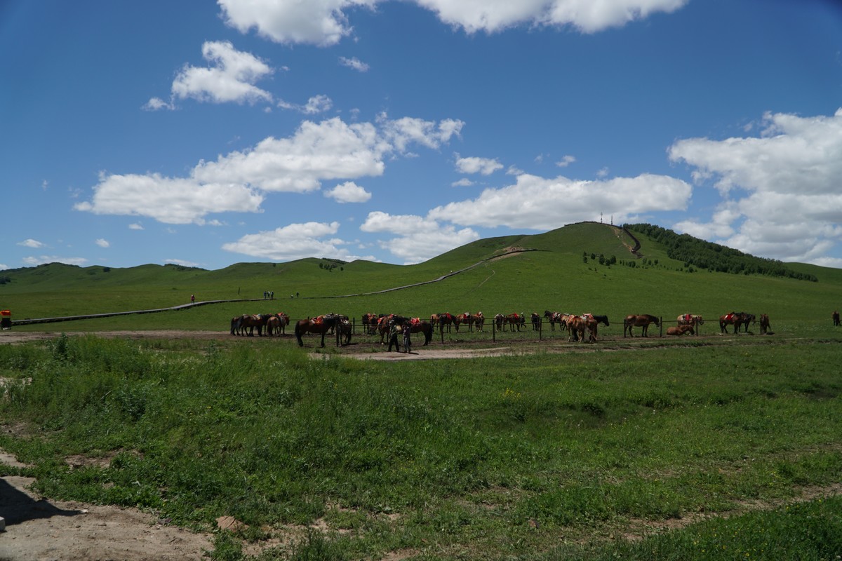 亚洲精品国产AV成人毛片 在行业扩张的精品过程中