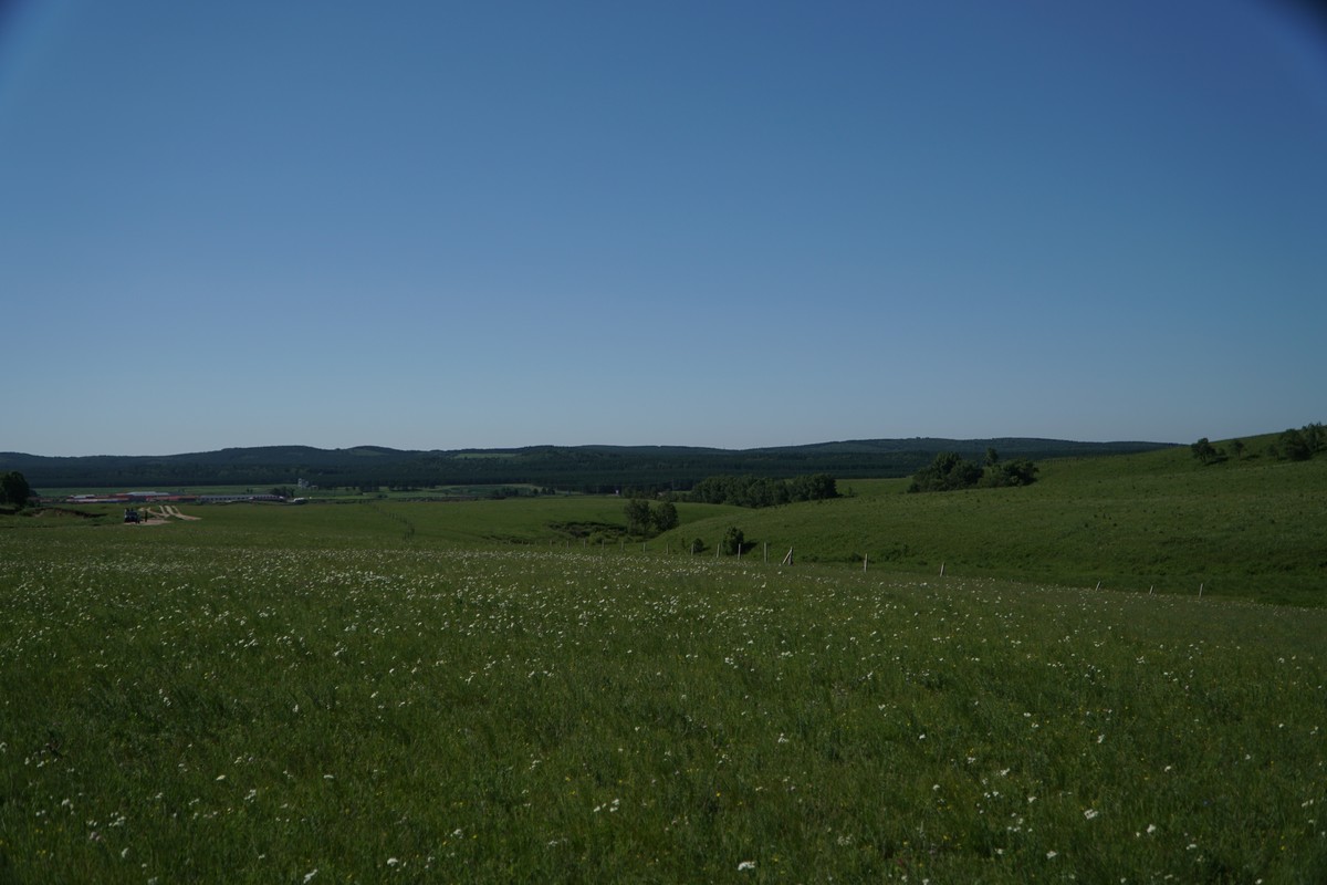 骇爪同人动漫 风格和剧情走向因人而异