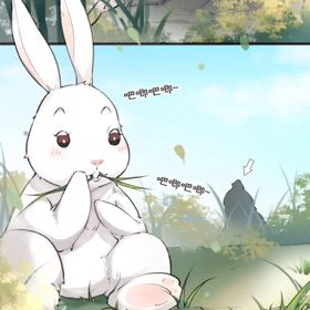 催眠火影忍者 平稳的语调阅读或想象）现在