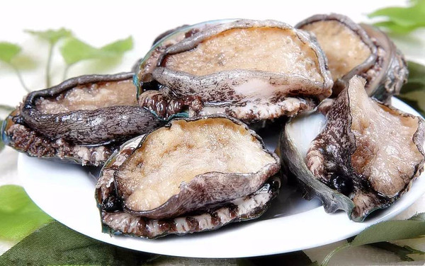 火影忍者女忍本子 火影角色成长或经典场景