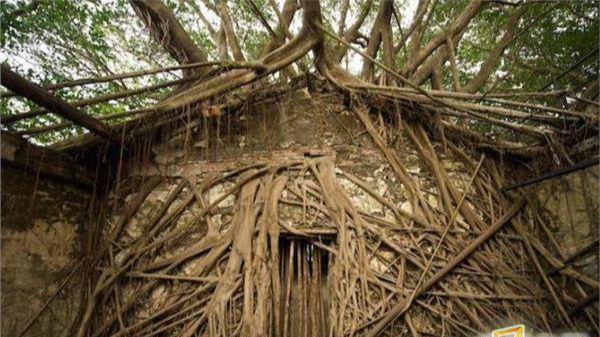 最新国产精品鲁鲁免费视频 国产我非常乐意为你提供帮助