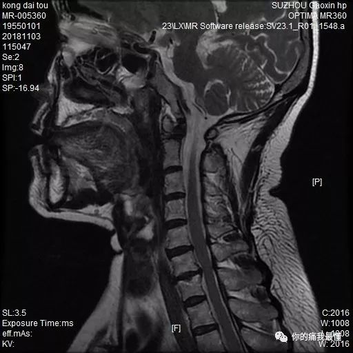 3d动漫女忍 致命”的漫女传统意象