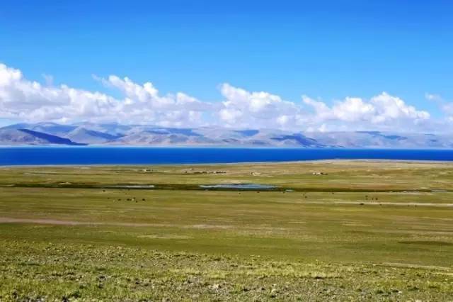 51吃瓜网吃最新的社会事件