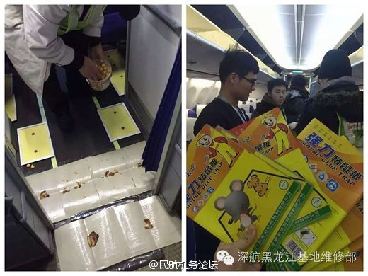 17C吃瓜官网黑料，17c吃瓜官网黑料爆料在线观看 能快速捕捉热点社区互动性强