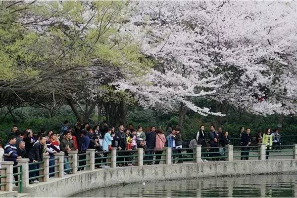 寸止挑战 耐力赛 请随时告诉我你的寸止需求